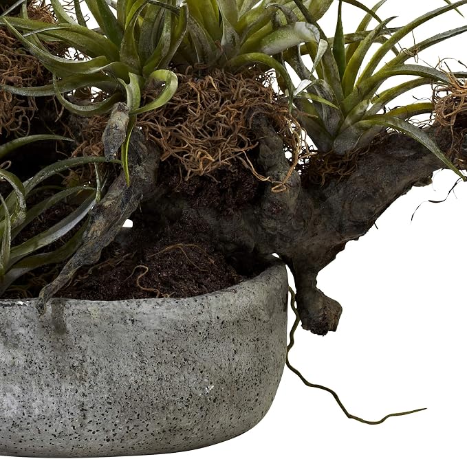 Nearly Natural 20 in Artificial Orchid Succulent Floral Garden Room Decor | Striking Combination of Orchids and Succulents, Interesting Driftwood-Like Creation, Decorative Vase, Home and Office Accent