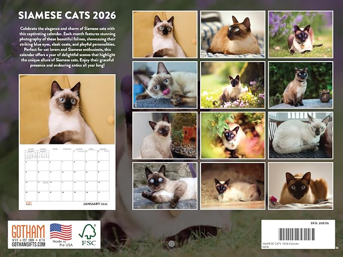 Siamese Cat Calendar 2026 Monthly Wall Calender 12 Month | American Made In The USA
