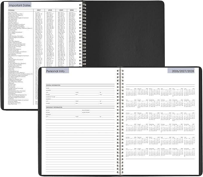 AT-A-GLANCE 2027 Appointment Book Planner, Weekly, 8" x 11", Quarter-Hourly, DayMinder, Black (G5200027)