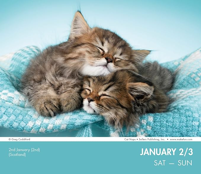Cat Naps 2027 Daily Desk Calendar: Boxed Page-a-Day Cute Cat Photo Calendar with Day-to-Day Adorable Sleeping Kittens & Funny Feline Captions