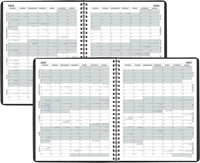 AT-A-GLANCE 2027 Planner, Monthly, 7" x 8.75", Unruled Daily Blocks, Black (701200527)