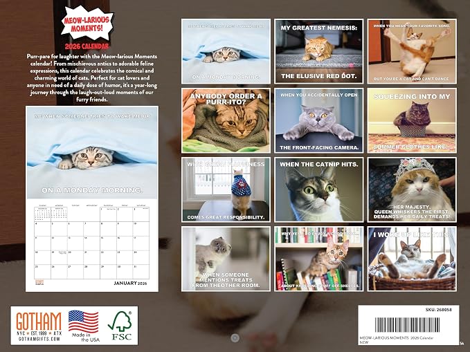 Funny Cat Calendar 2026 Funny Gift Cats Monthly Wall Calender 12 Month | American Made In The USA