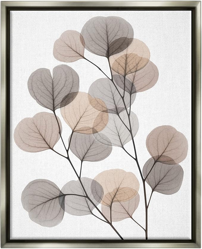 Modern Eucalyptus Leaf Stems, 16 x 20 Inch Canvas in Floater Frame | Stupell Industries · By Albert Koetsier · Ready to hang · Great for living room or office · Made in USA