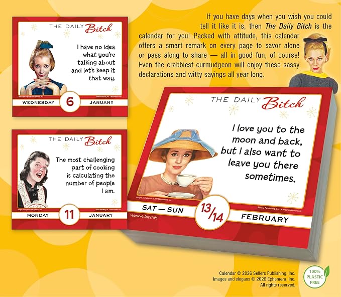 The Daily B 2027 Daily Desk Calendar: Boxed Page-a-Day Humor Calendar with Sarcastic Quotes, Bold Attitude & Snarky Sayings