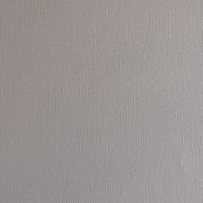 Thunder Cloud—12x12 Textured Cardstock | 80lb Textured Gray Scrapbook Paper | Premium Cardstock for Cricut Cutting | 25 Sheets