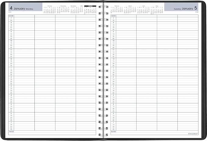AT-A-GLANCE 2027 Appointment Book Planner, Daily Group Planner, 8" x 11", Four Person, Quarter-Hour, DayMinder, Black (G5600027)