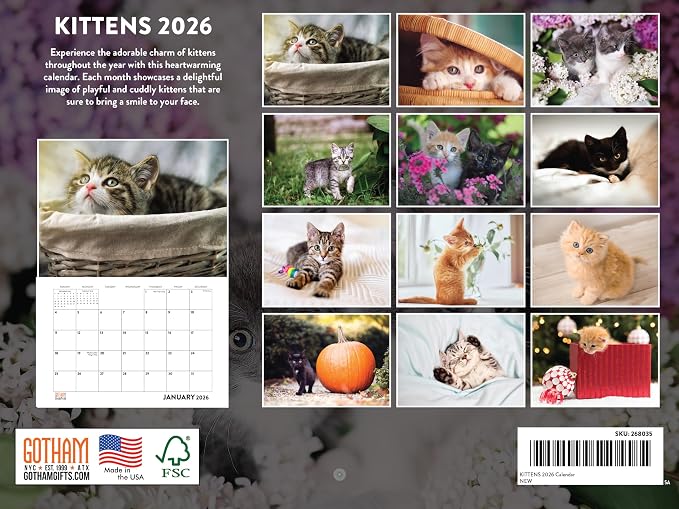 Kitten Calendar 2026 Cat Kitty Gifts Monthly Wall Calender 12 Month | American Made In The USA