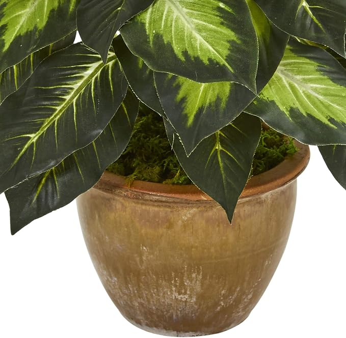 Nearly Natural 18 in Artificial Dieffenbachia Plant in Ceramic Planter | Lush Variegated Leaves, Maintenance-Free Faux Greenery, Realistic-Looking Indoor Home Decor Accent