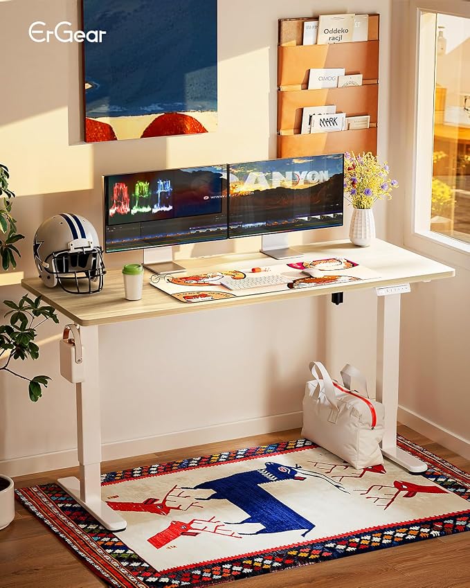 ErGear Height Adjustable Electric Standing Desk, 63 x 28 Inches Sit Stand up Desk, Memory Computer Home Office Desk, Natural