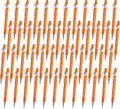 Qingxily Custom Pens Bulk - Up to 300 Personalized Stylus Ballpoint Pens With Free Engraving - Customized With Your Name, Text, Message for Business, Graduation, Anniversaries - Colorful 48 Pcs
