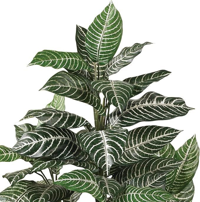Nearly Natural 3 ft Zebra Artificial Plant with Striped Leaves and Pot | Lifelike White Pin-Striped Leaves, Maintenance-Free, Sturdy Nursery Pot, Office or Sunroom Decor