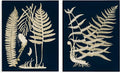 Stupell Industries 'Modern Layered Vegetation Natural Leaves', 2pc Canvas Art Set 2, 24 x 30 Inches, Easy to Hang and Sturdy, Made in USA, by Piddix | Stupell Industries | 24 x 30 Inches, Easy to Hang and Sturdy, Made in USA, by Piddix
