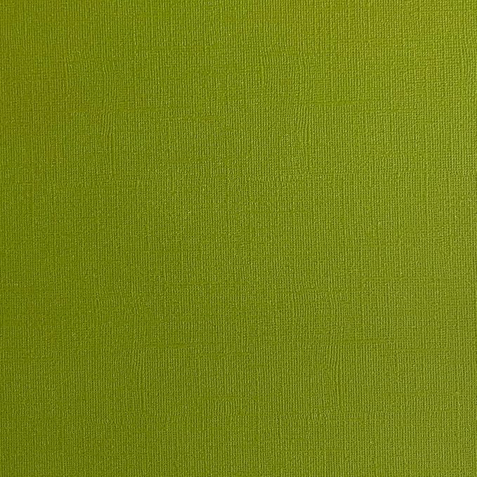 Green Iguana—12x12 Textured Cardstock | 80lb Textured Green Scrapbook Paper | Premium Cardstock for Cricut Cutting | 25 Sheets