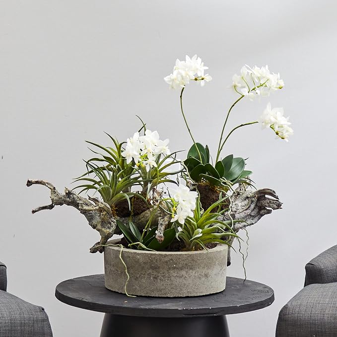 Nearly Natural 20 in Artificial Orchid Succulent Floral Garden Room Decor | Striking Combination of Orchids and Succulents, Interesting Driftwood-Like Creation, Decorative Vase, Home and Office Accent