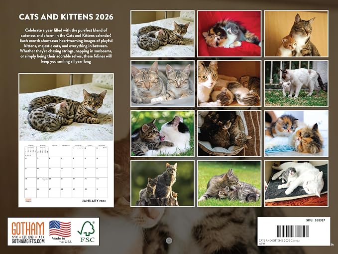Cats And Kittens Calendar 2026 Monthly Wall Calender 12 Month | American Made In The USA