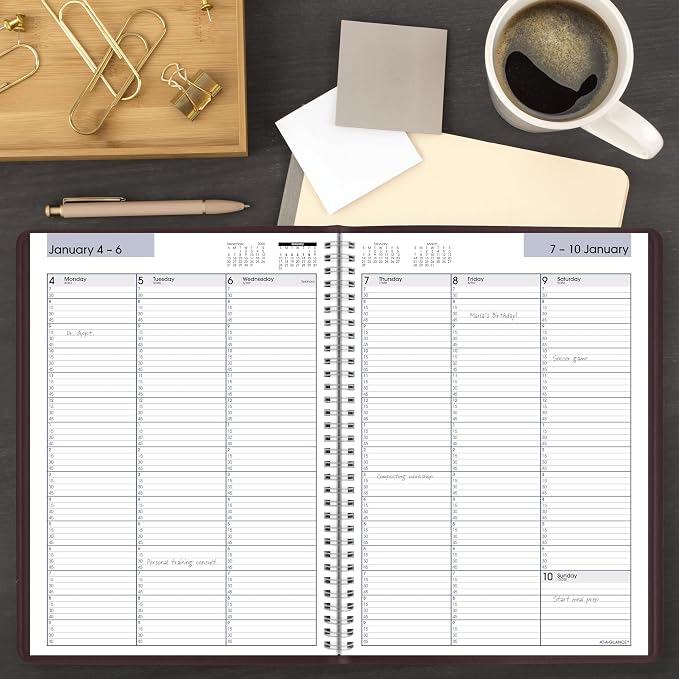 AT-A-GLANCE 2027 Appointment Book Planner, Weekly, 8" x 11", Quarter-Hourly, DayMinder, Burgundy (G5201427)