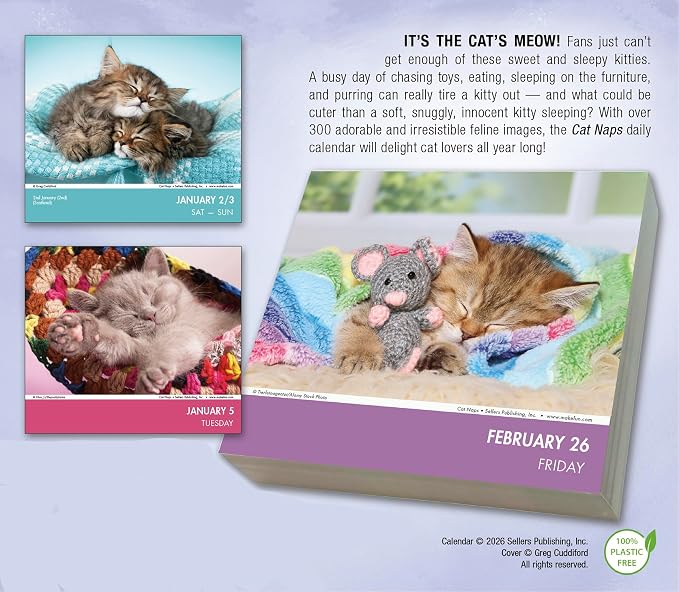 Cat Naps 2027 Daily Desk Calendar: Boxed Page-a-Day Cute Cat Photo Calendar with Day-to-Day Adorable Sleeping Kittens & Funny Feline Captions