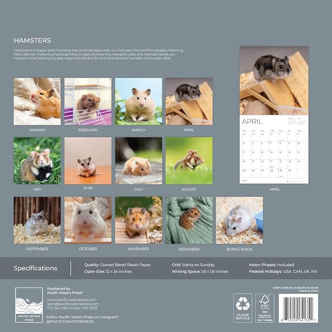 Hamsters 2027 Wall Calendar, 12 x 24 Hanging Pacific Waters Press