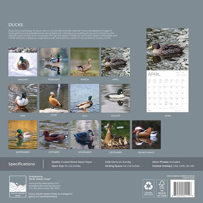 Ducks 2027 Wall Calendar, 12 x 24 Hanging Pacific Waters Press