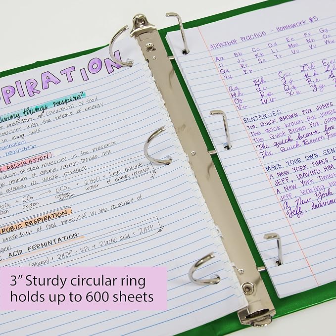 BAZIC Products 3" Green 3-Ring View Binder, Slant-D Ring, 2 Pockets, 2-Pack | 2 inside pockets, 3 in Green view 3-ring binder, slant-D rings, holds up to 600 sheets, Durable poly cover, 2 Pockets