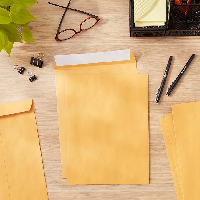 Amazon Basics Catalog Self Seal Mailing Envelopes for Documents, Peel and Seal, Brown Kraft, 250 Count, 9" x 12" (Pack of 2)