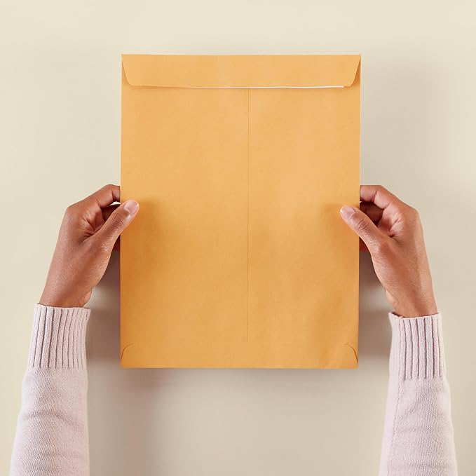 Amazon Basics Catalog Self Seal Mailing Envelopes, Peel and Seal, 10" x 13", Brown Kraft, 250-Pack