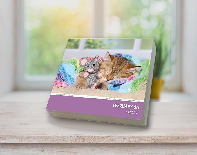 Cat Naps 2027 Daily Desk Calendar: Boxed Page-a-Day Cute Cat Photo Calendar with Day-to-Day Adorable Sleeping Kittens & Funny Feline Captions