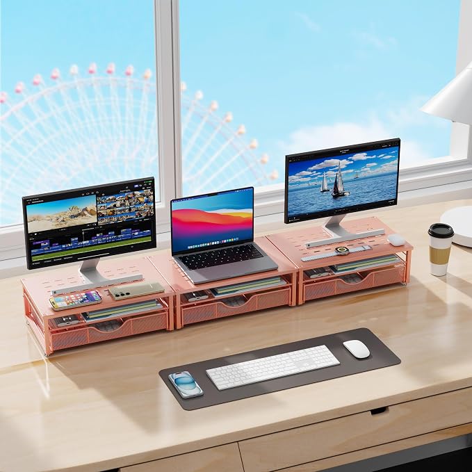 gianotter Computer Monitor Stand Riser with Drawer | Desk Organizers and Accessories Desk Accessories & Workspace Desktop Organizers Storage for Printer Stand (Rose Gold)
