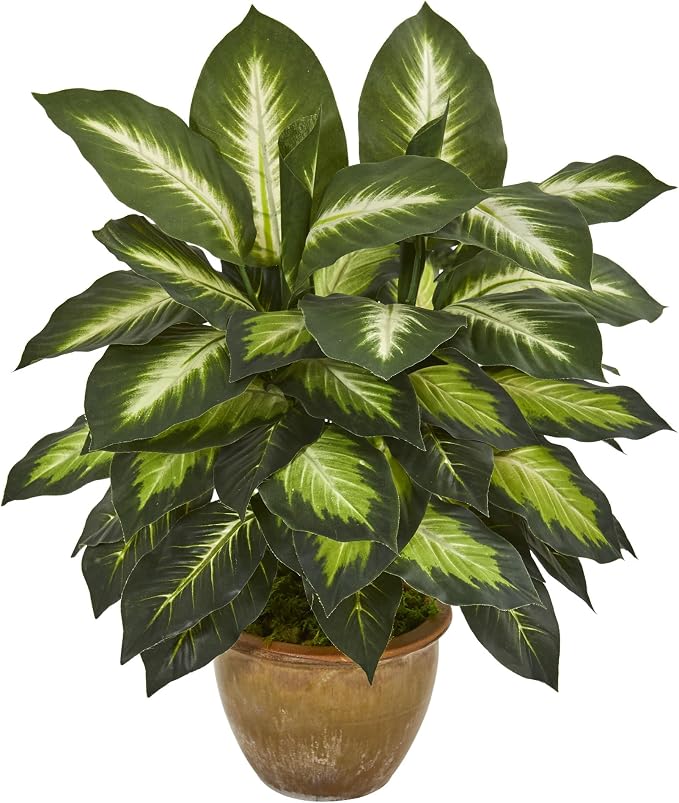 Nearly Natural 18 in Artificial Dieffenbachia Plant in Ceramic Planter | Lush Variegated Leaves, Maintenance-Free Faux Greenery, Realistic-Looking Indoor Home Decor Accent