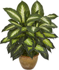 Nearly Natural 18 in Artificial Dieffenbachia Plant in Ceramic Planter | Lush Variegated Leaves, Maintenance-Free Faux Greenery, Realistic-Looking Indoor Home Decor Accent