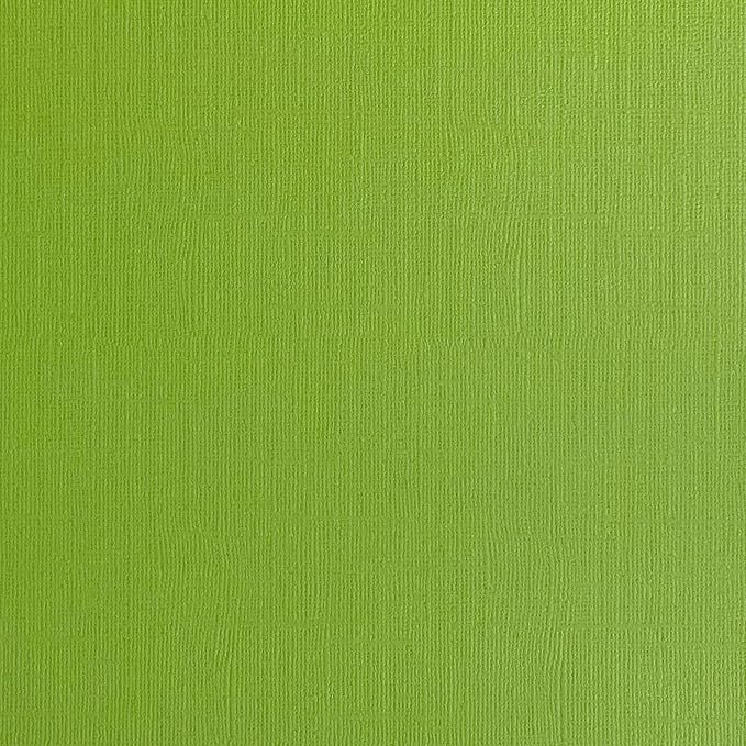 Grasshopper—12x12 Textured Cardstock | 80lb Textured Green Scrapbook Paper | Premium Cardstock for Cricut Cutting | 25 Sheets