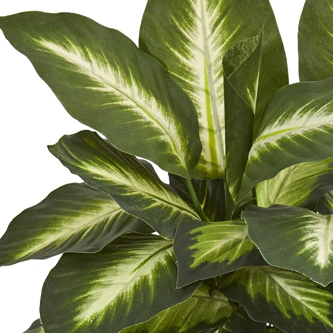 Nearly Natural 18 in Artificial Dieffenbachia Plant in Ceramic Planter | Lush Variegated Leaves, Maintenance-Free Faux Greenery, Realistic-Looking Indoor Home Decor Accent