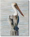 Long Beak Pelican Coastal, 16 x 20 Inch Canvas Wall Art | Stupell Industries · By Stellar Design Studio · Ready to hang · Coastal bird decor for living room or office · Made in USA