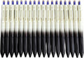 Fengtaiyuan Retractable Gel Pens, 1.0mm Bold Point Quick Dry Blue Ink, 18 Pack, Gradient Black-White Barrel with Ergonomic Non-Slip Grip, Smooth Writing