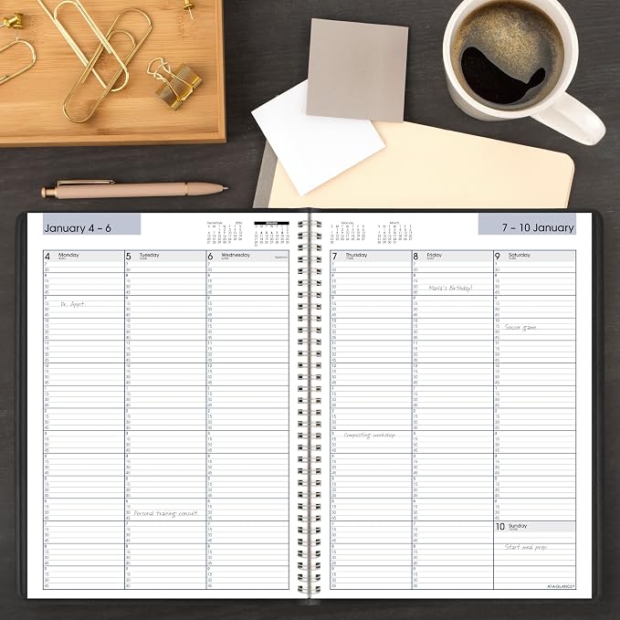 AT-A-GLANCE 2027 Appointment Book Planner, Weekly, 8" x 11", Quarter-Hourly, DayMinder, Black (G5200027)