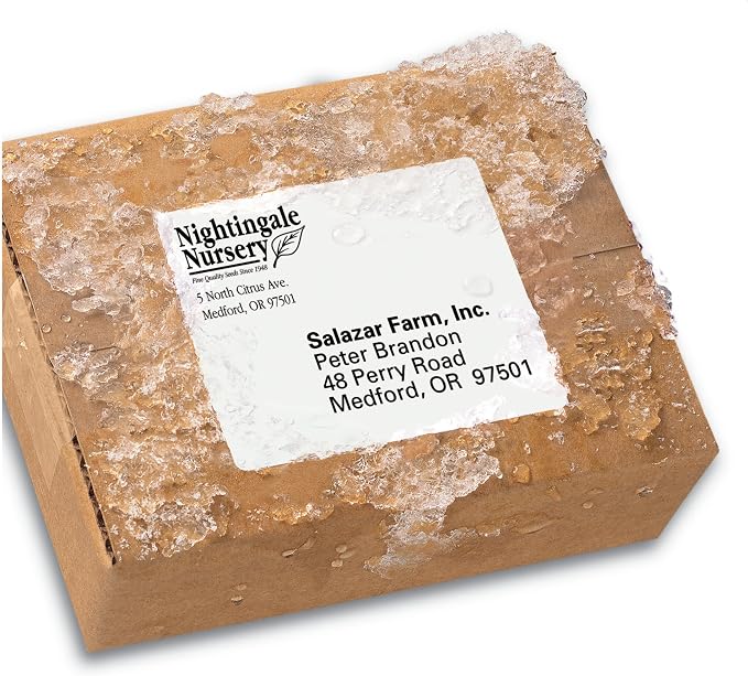 Avery Durable Waterproof Shipping Labels with Sure Feed Technology, 3-1/3" x 4", White, Laser Compatible, 300 Blank Labels Total, Great for Mailing, Branding, and More (5524)
