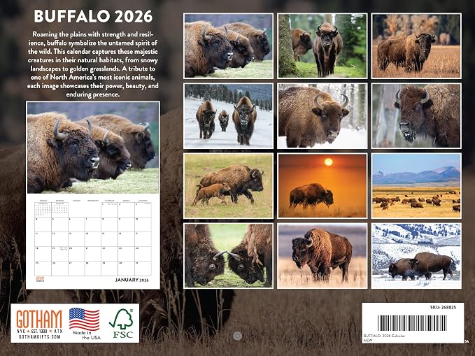 Buffalo Calendar 2026 Wall 12 Month Gifts For Buffalo Lovers Women Men Monthly | American Made In The USA