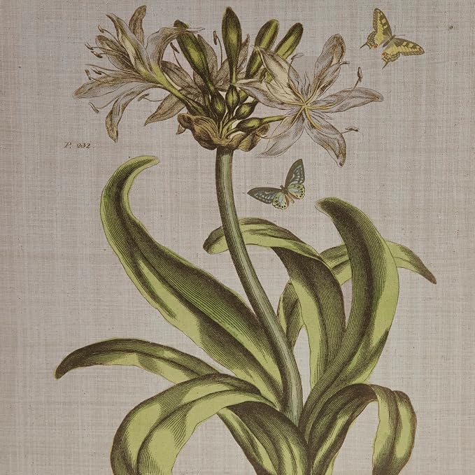 Madison Park Botanical Wall Art Living Room Decor - Vintage Floral Linen Canvas Framed Wall Art Farmhouse Lifestyle Home Office Wall Decor, Ready to Hang Painting for Bedroom, Herbal, Green 4 Piece