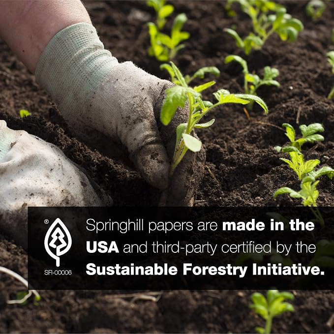 Springhill White 11” x 17” Cardstock Paper, 80lb Vellum Bristol, 175gsm, 250 Sheets (1 Ream) – Premium Medium Weight Vellum Cardstock, Printer Paper with Textured Finish – 016204R
