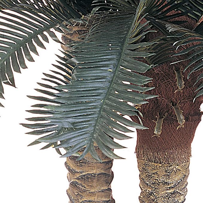 Nearly Natural 6 ft Artificial Sago Palm Double Tree Basket Floor Plant | Two Realistic Trunks, Eighty Lifelike Palm Leaves, Ten-Inch Wicker Basket Included, Premium Indoor Home Decor Accent