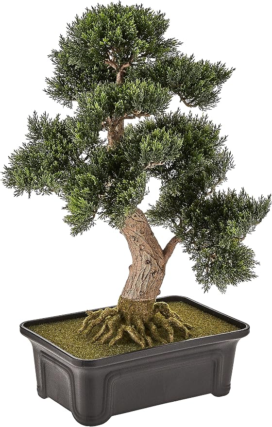 Nearly Natural 4103 24in. Cedar Bonsai Silk Plant,Green | Exposed-Root System, Artfully Trimmed Bonsai Replica, Rectangular Shaped Planter, Maintenance-Free Office Accent