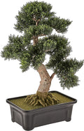 Nearly Natural 4103 24in. Cedar Bonsai Silk Plant,Green | Exposed-Root System, Artfully Trimmed Bonsai Replica, Rectangular Shaped Planter, Maintenance-Free Office Accent