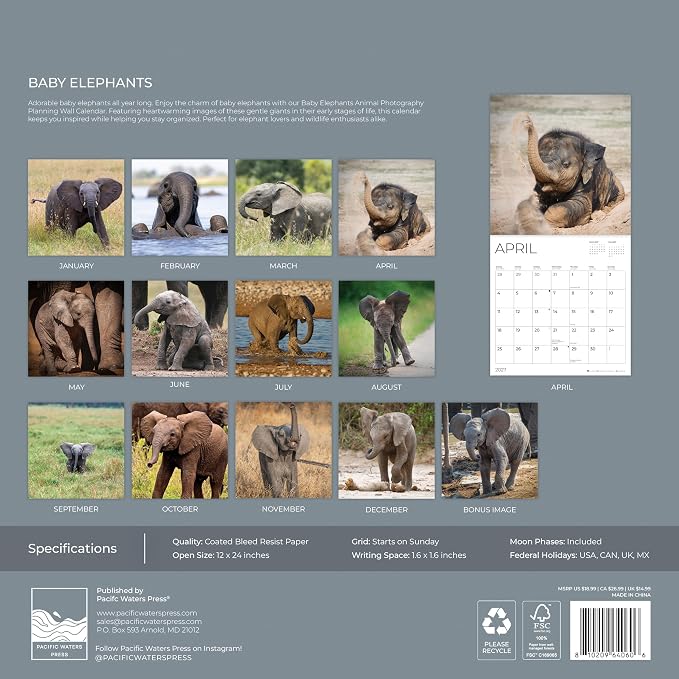 Baby Elephants 2027 Wall Calendar, 12 x 24 Hanging Pacific Waters Press