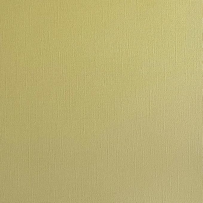 Golden Sage—12x12 Textured Cardstock | 80lb Textured Tan Scrapbook Paper | Premium Cardstock for Cricut Cutting | 25 Sheets