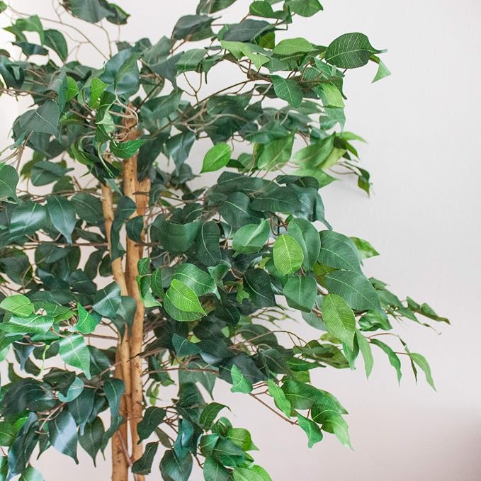 Nearly Natural 5ft Artificial Ficus Tree, Triple Trunk Faux Greenery with Natural Wood Trunks for Indoor Home Decor, with Black Nursery Pot