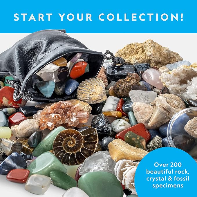 NATIONAL GEOGRAPHIC Rock Painting and Rock Collection Kit