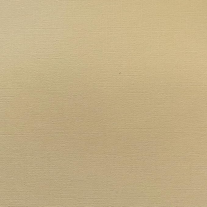 Winter Wheat—12x12 Textured Cardstock | 80lb Textured Tan Scrapbook Paper | Premium Cardstock for Cricut Cutting | 25 Sheets