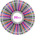 Up to 300 Pcs Custom Pens Bulk,Personalized Pens with Free Engraving,Customized Stylus Ballpoint Pens with Your Name,Text,Message for Business,Graduation,Anniversaries-Colorful Pens 96 Packs