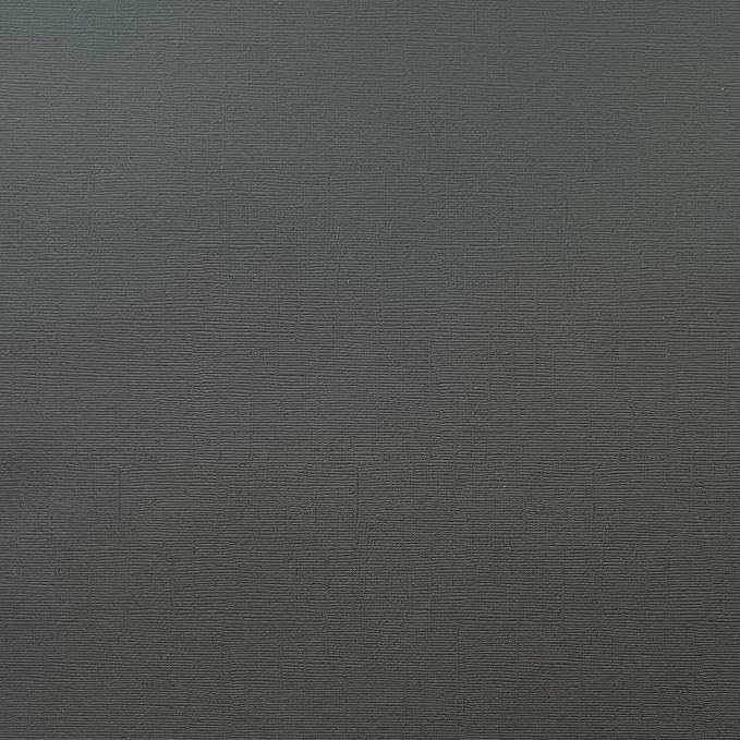Shark Skin—12x12 Textured Cardstock | 80lb Textured Gray Scrapbook Paper | Premium Cardstock for Cricut Cutting | 25 Sheets