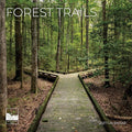 Forest Trails 2027 Wall Calendar, 12 x 24 Hanging Pacific Waters Press